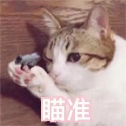 图片45.png