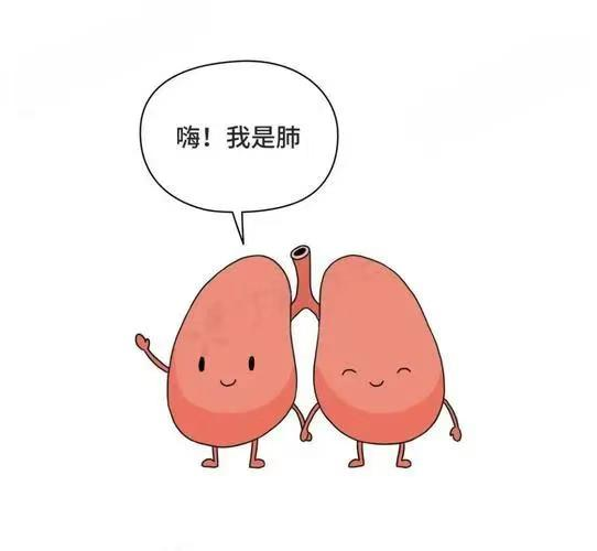 图片20.png
