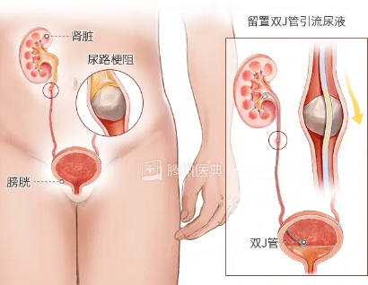 图片47.png